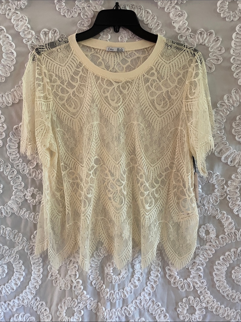 Dex Plus Cream color Lace Short Sleeve Sheer Top Curvy Beautiful!!!